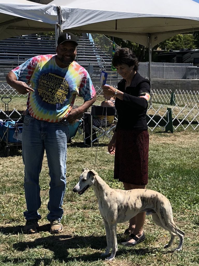 Lakota whippets hot sale