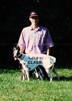 STETSNN  Whippet 7 1/4 150周年 Whippet - The Breed Archive